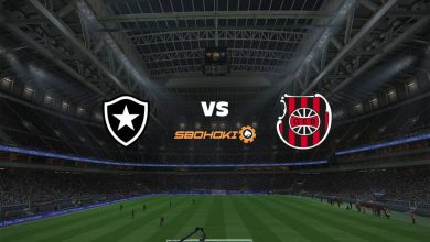 Photo of Live Streaming 
Botafogo vs Brasil de Pelotas 15 Agustus 2021